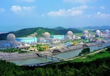 South Korea to become next biomass market leader